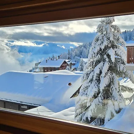 Lejlighed Nachtigall Og