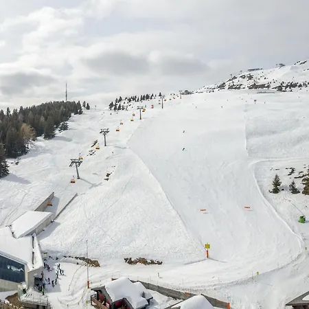 Nachtigall Og Bettmeralp