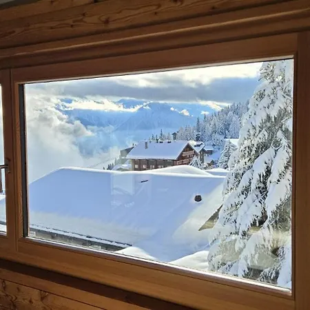 Nachtigall Og Lejlighed