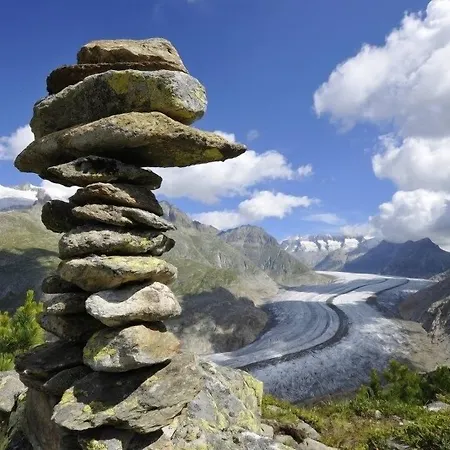 Nachtigall Og Bettmeralp